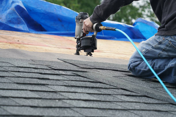 Best Roof Gutter Cleaning  in Harrodsburg, KY